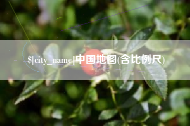 宝鸡中国地图(含比例尺)