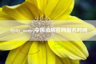 宝鸡中国消防官网报名时间