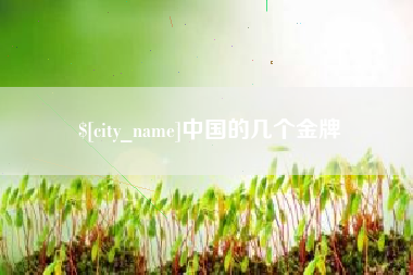 宝鸡中国的几个金牌