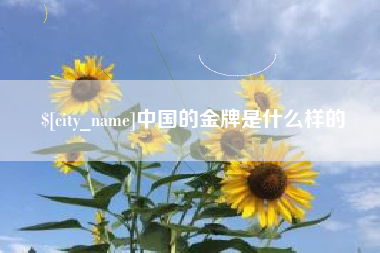 宝鸡中国的金牌是什么样的