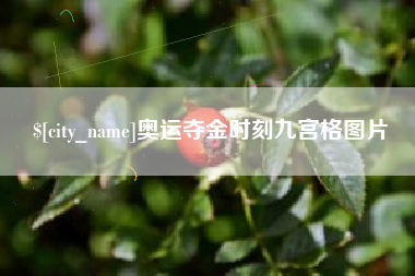 宝鸡奥运夺金时刻九宫格图片