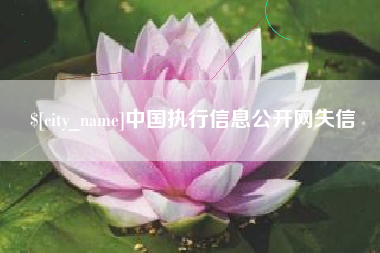 宝鸡中国执行信息公开网失信