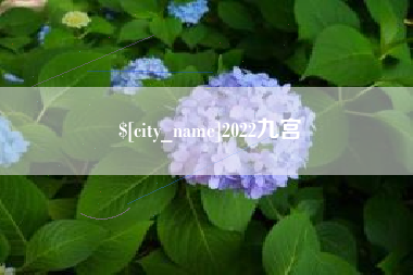 宝鸡2022九宫