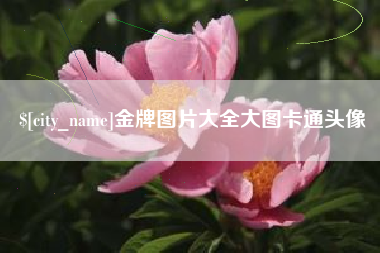 宝鸡金牌图片大全大图卡通头像