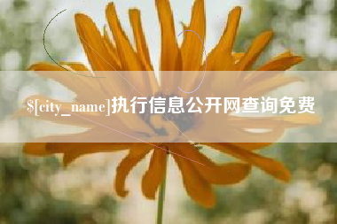 宝鸡执行信息公开网查询免费