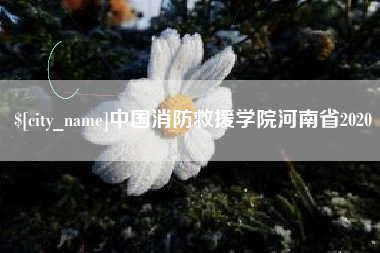 宝鸡中国消防救援学院河南省2020